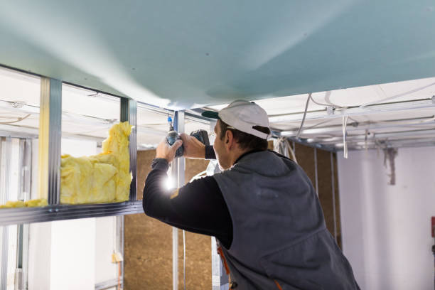 Best Insulation for Specific Applications in San Dimas, CA
